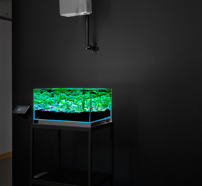VGL Whole Installation Setup by David Broda